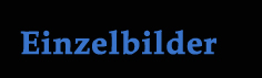 Bild für Bild